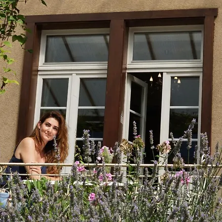 מלון Alpenrose And Gardens 2*