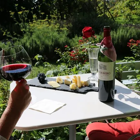 Alpenrose And Gardens 2* וילדרסויל