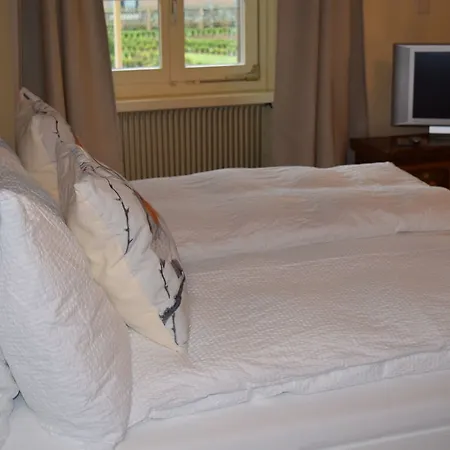 Alpenrose Hotel And Gardens 2* Wilderswil