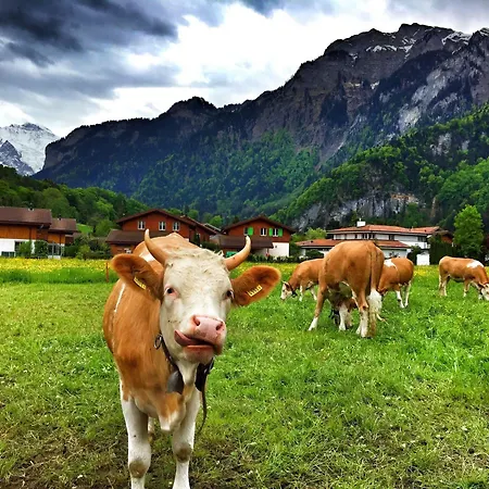 Alpenrose Hotel And Gardens Ξενοδοχείο Wilderswil