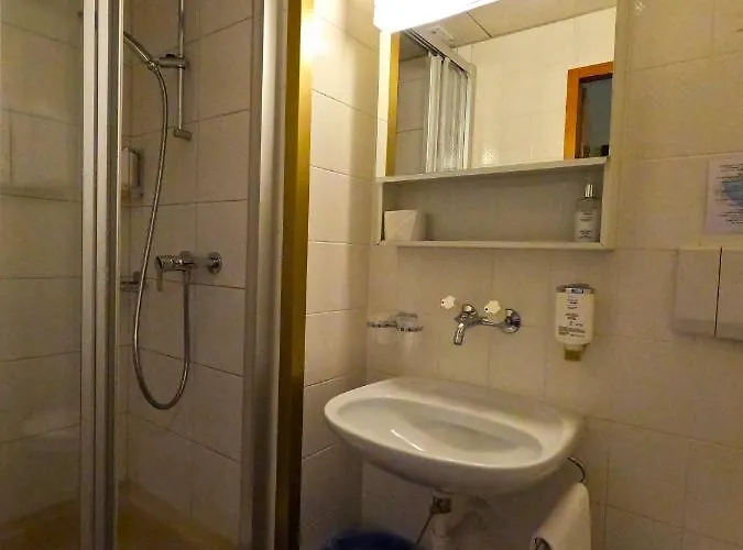 Alpenrose And Gardens 2* Wilderswil