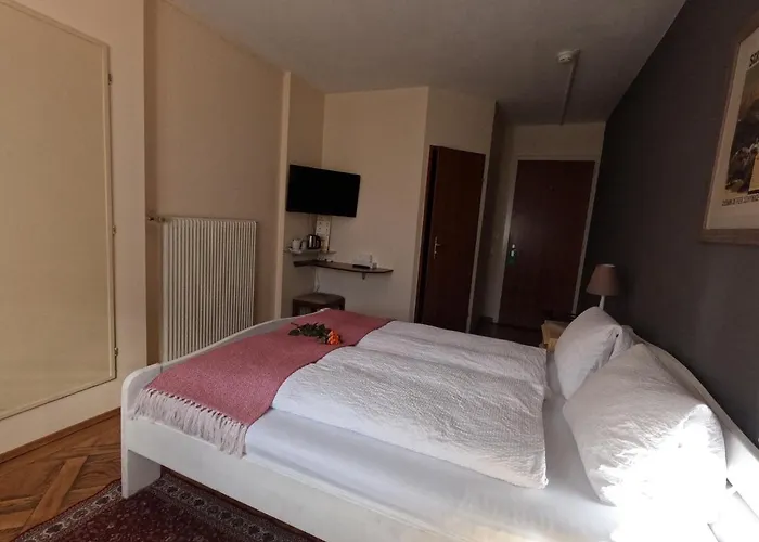 Hotel Alpenrose And Gardens 2*