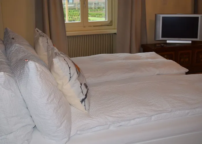 Alpenrose Hotel&gardens 2* Wilderswil